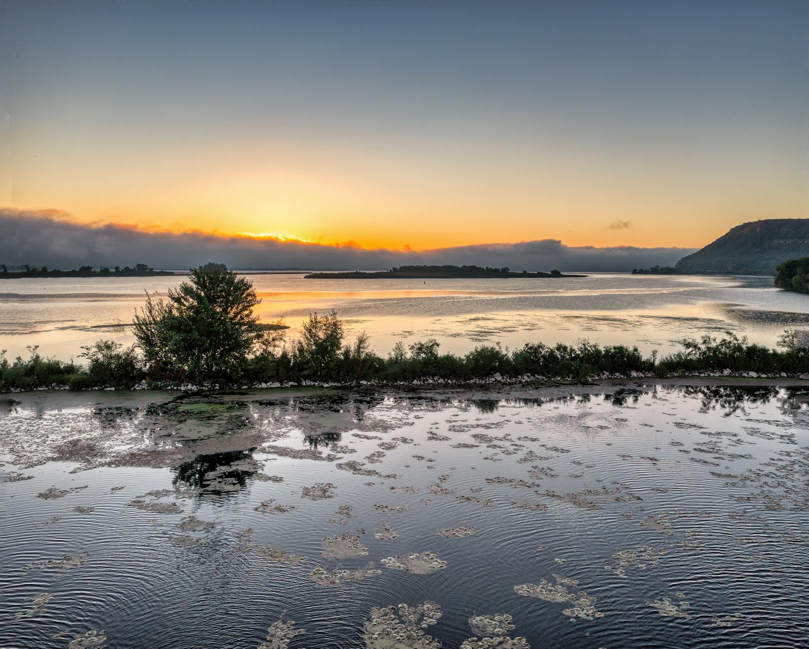 Consumer Sentiment Rises and Intuit Falls on AI Fears