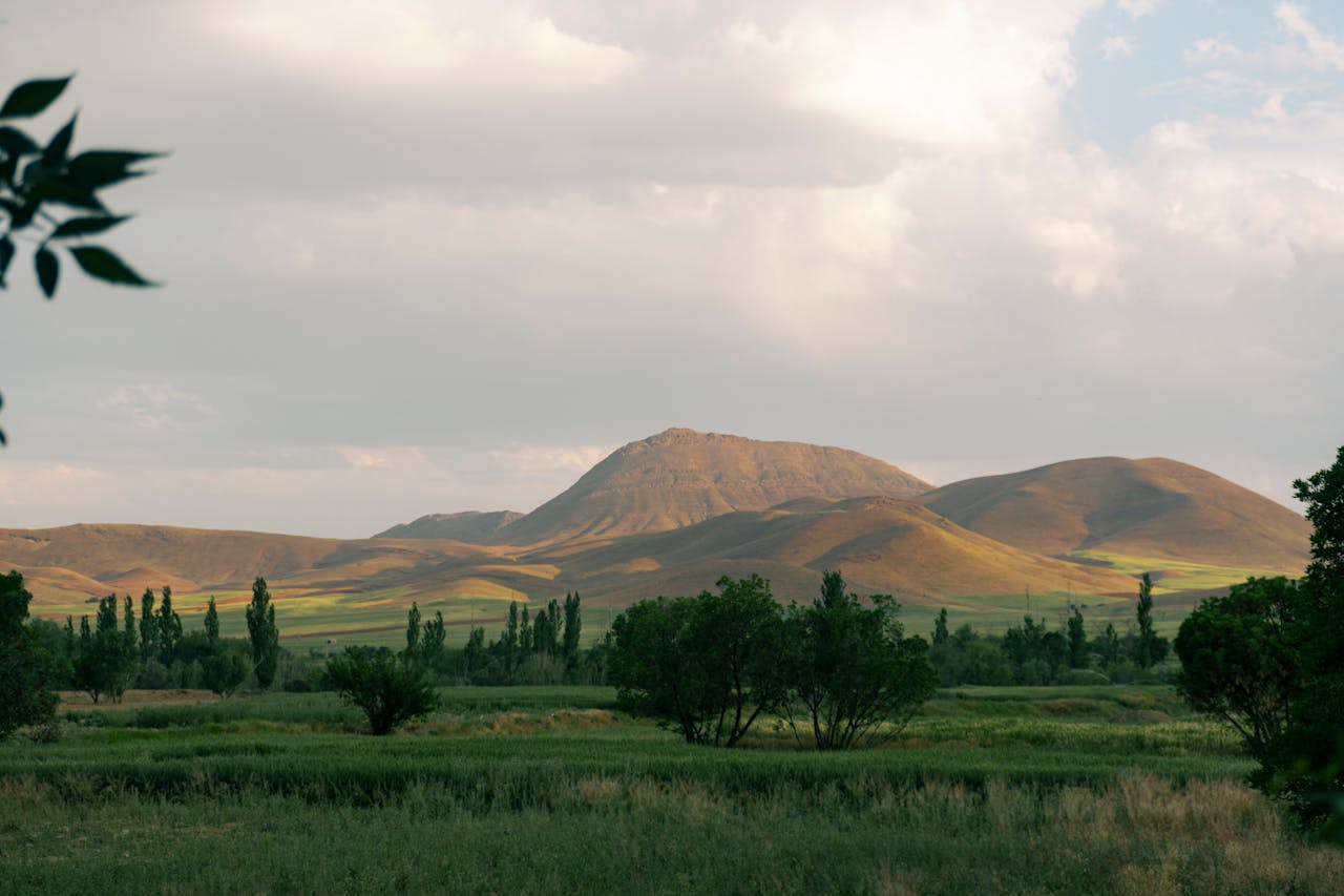 Markets Rebound, Unemployment Rises, Tesla and Intel Join Forces, Waymo, and How Bonds Work